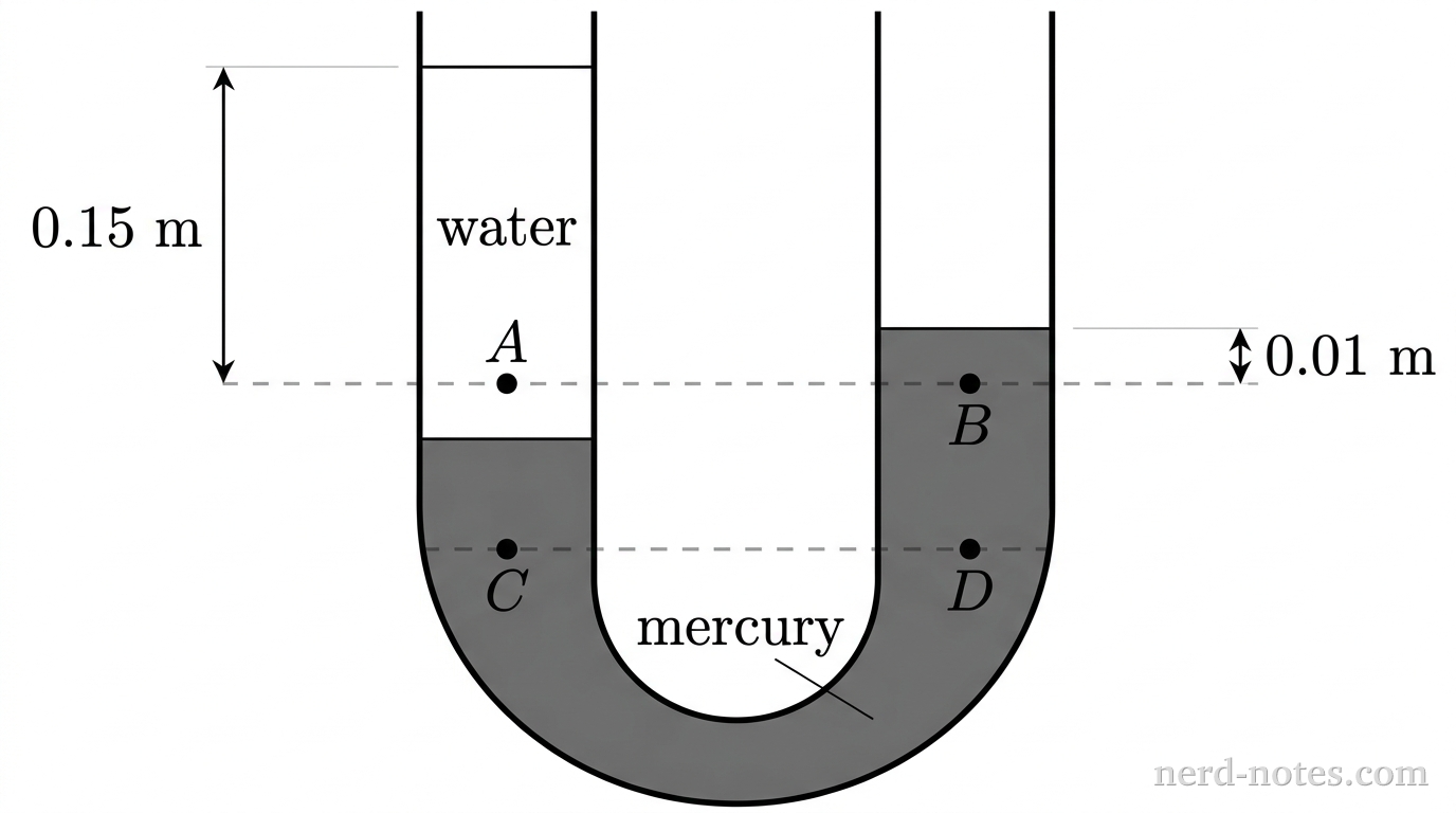 U-tube with water above mercury; A and B on one level, C and D on a lower level