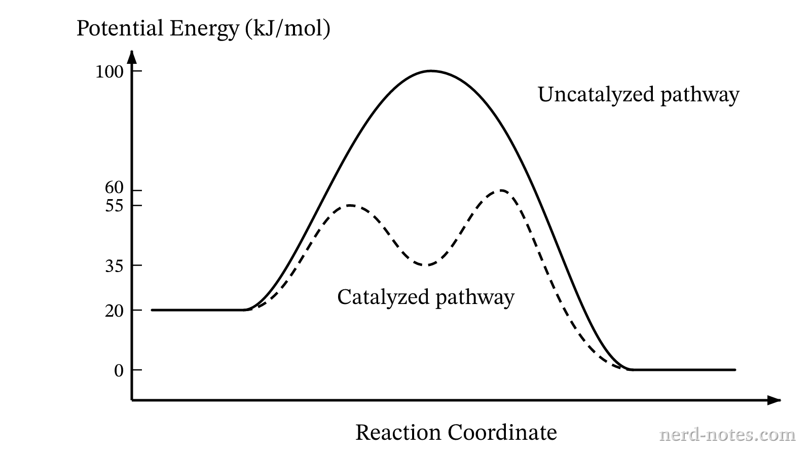 Potential energy profiles for the uncatalyzed and catalyzed ester hydrolysis pathways.