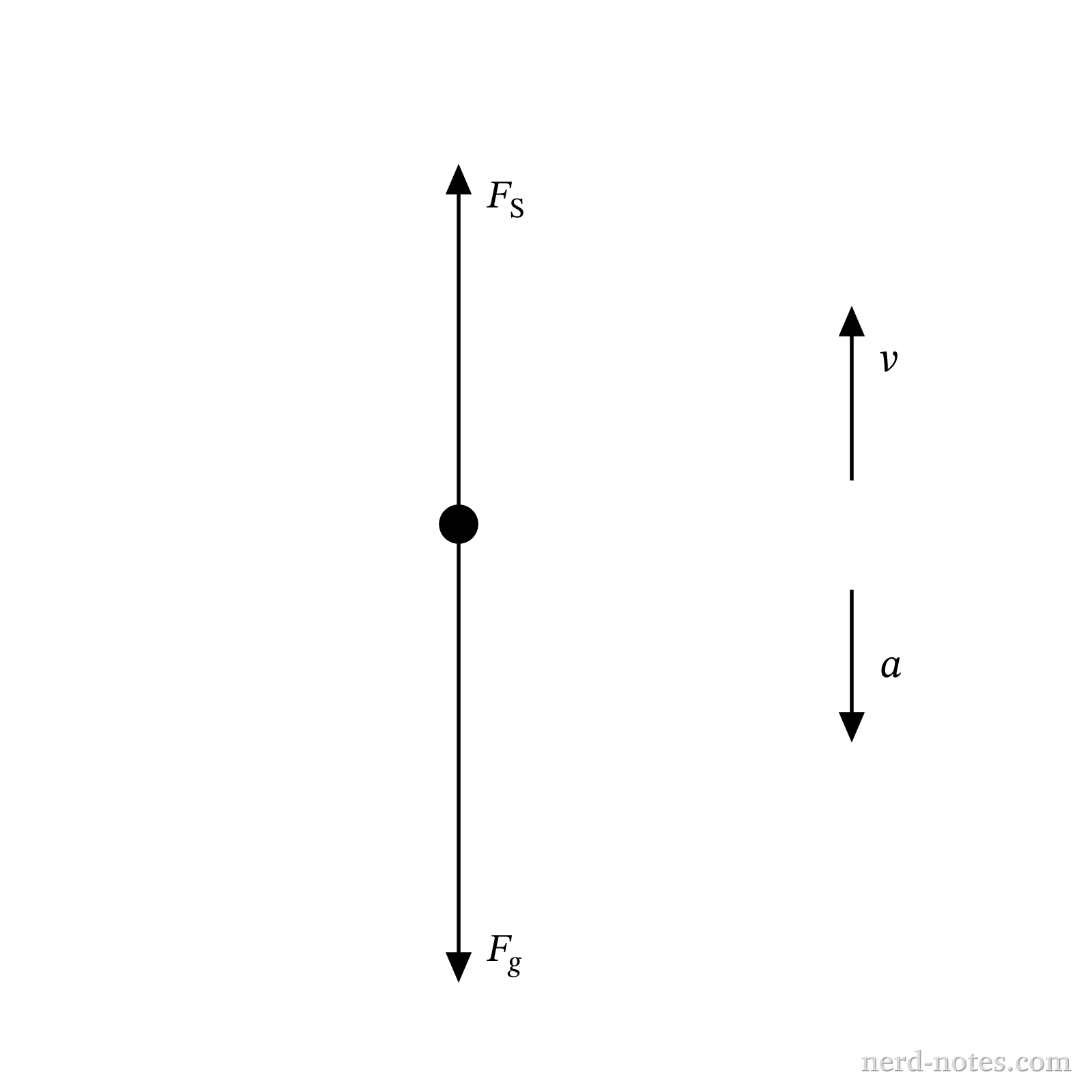 Free-body diagram of the person and motion vectors for the elevator.