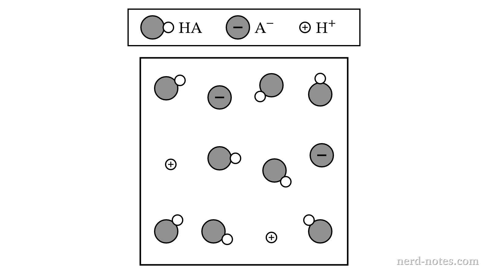Particulate representation of HA solution at equilibrium.