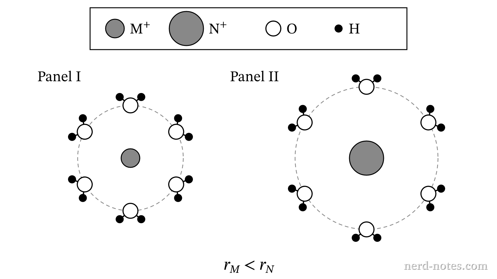 First hydration shells of \(\text{M}^{+}\) and \(\text{N}^{+}\)