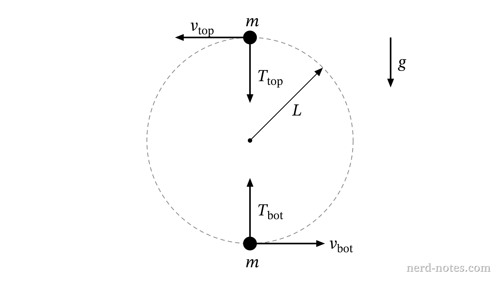 A ball of mass m moving in a vertical circle of radius L.