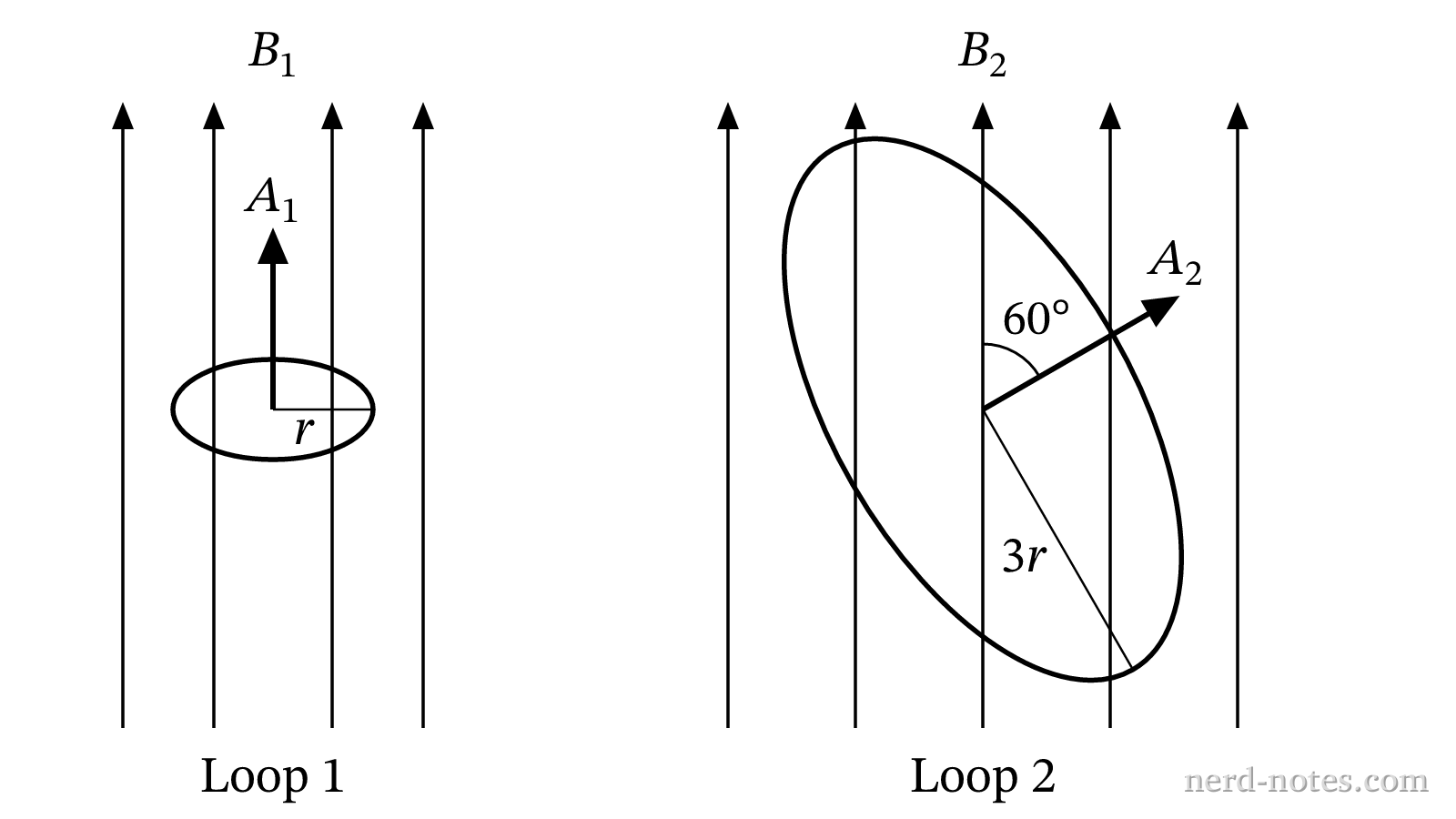 Two circular loops positioned in changing magnetic fields.