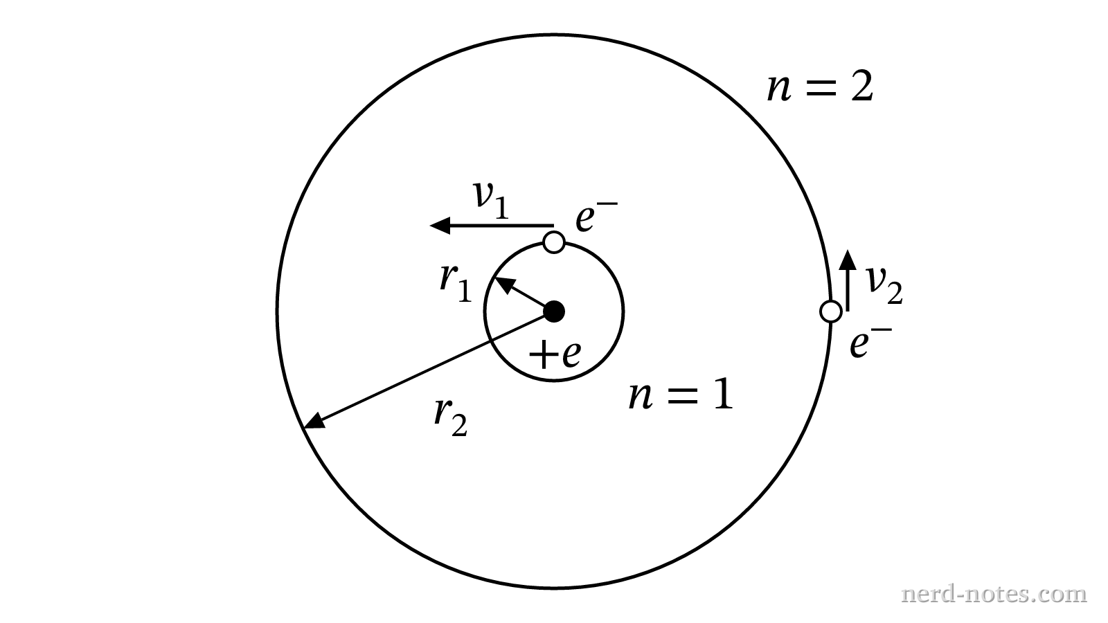 Circular electron orbits in the Bohr model for n = 1 and n = 2.