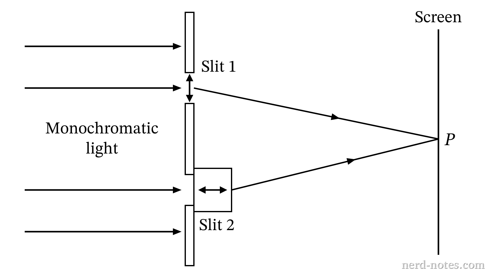 Light passing through two slits with mutually perpendicular polarization directions.