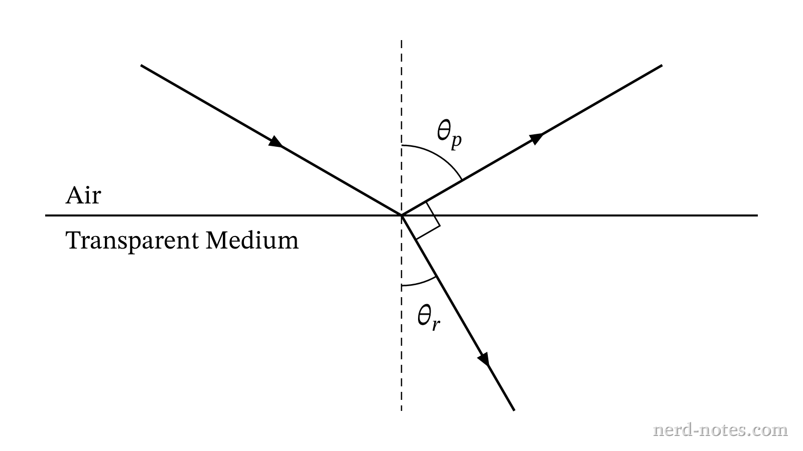Light ray incident on a transparent medium at the polarizing angle \(\theta_p\).