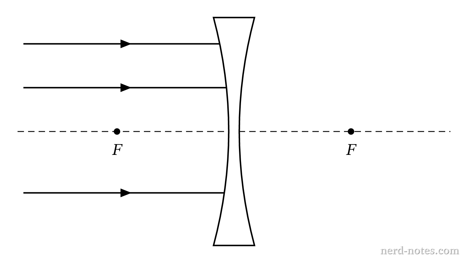 Parallel light rays incident on a thin diverging lens.
