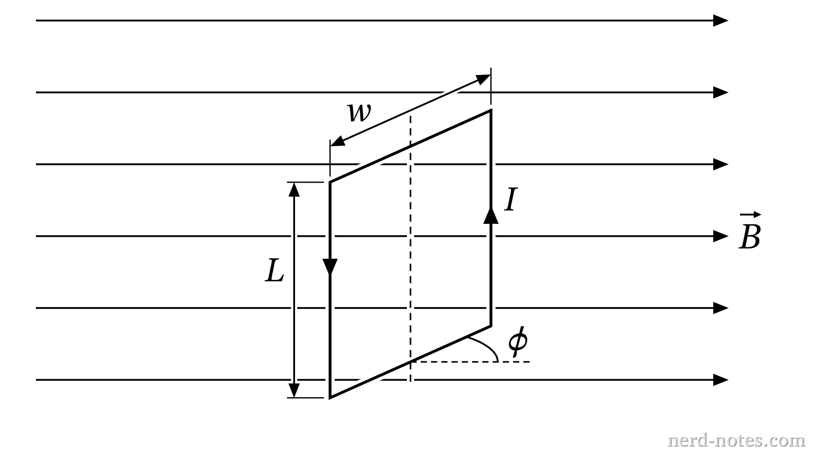 A current-carrying rectangular loop rotated at an angle \(\phi\) relative to a uniform magnetic field.