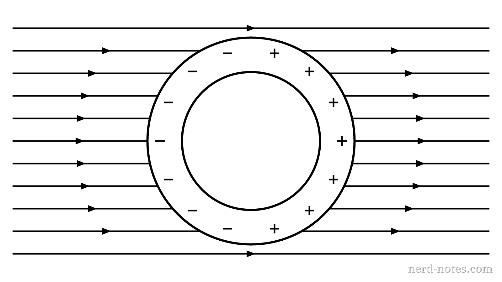 A hollow conducting shell in an external electric field.