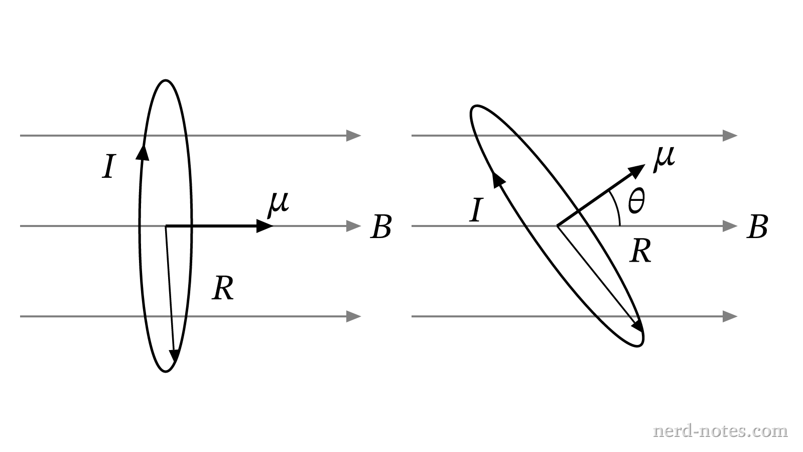 Current loop rotated in a magnetic field.