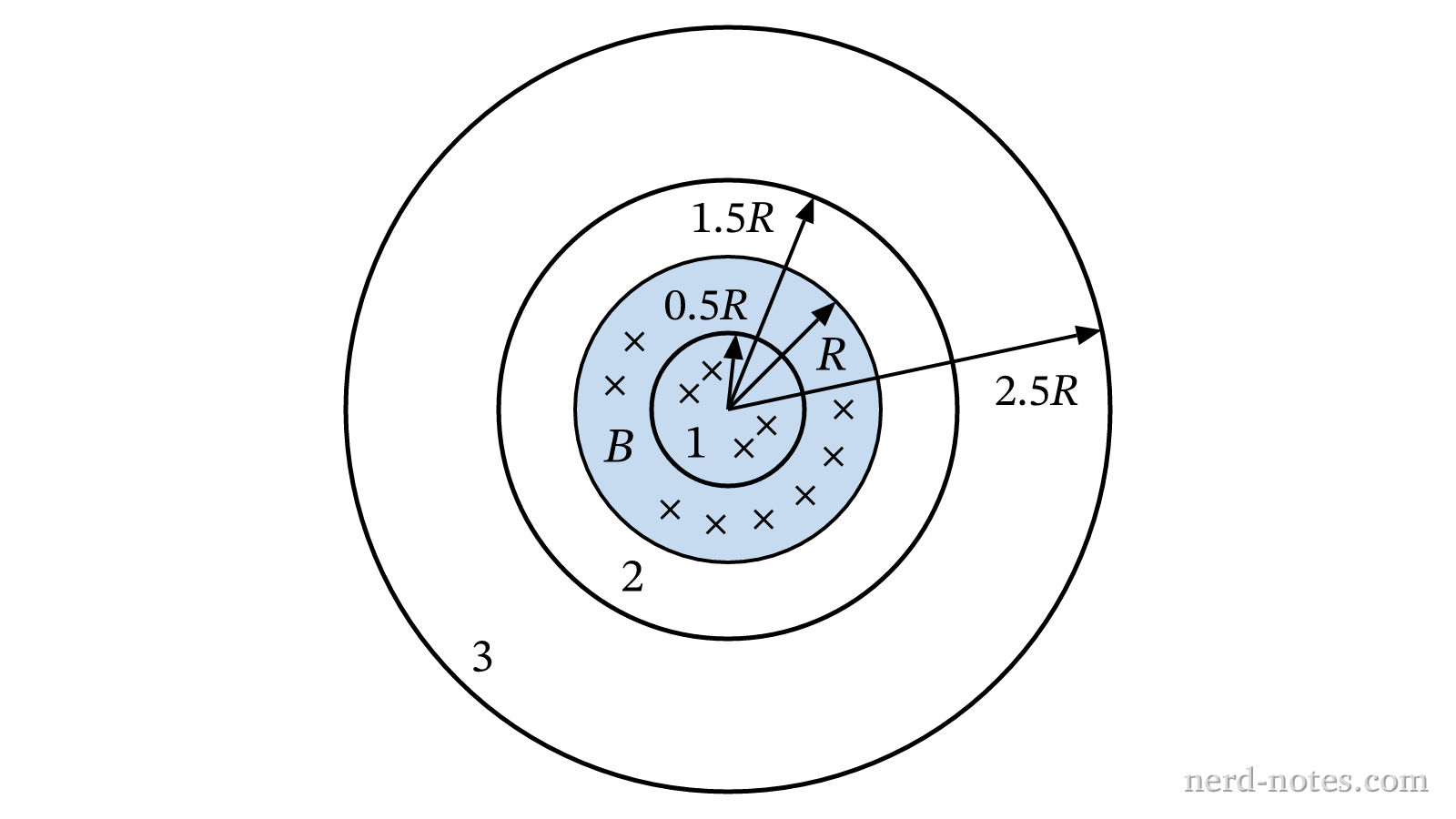 Cross section of the solenoid and three concentric wire loops.