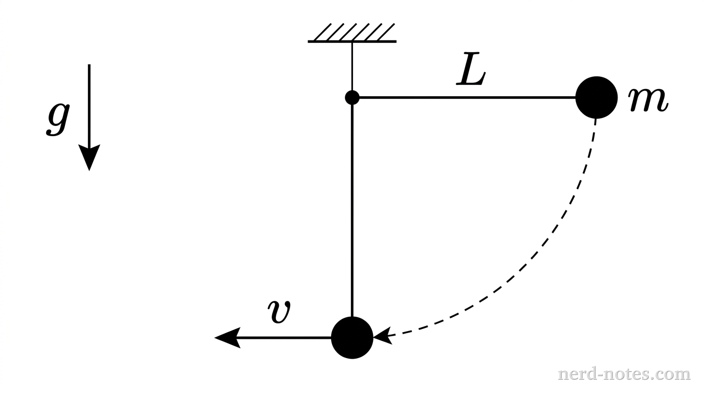 A pendulum bob released from rest with the string horizontal.