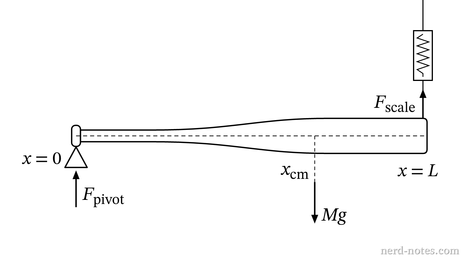 Horizontal bat supported by a knife-edge pivot at \(x = 0\) and a spring scale at \(x = L\).
