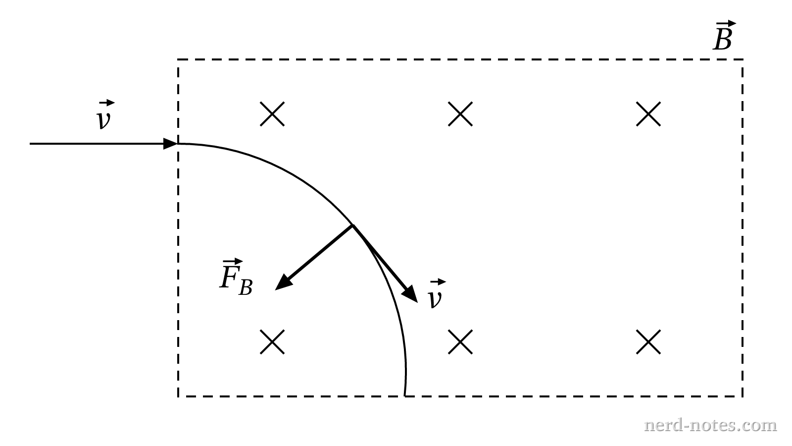 An electron enters a uniform magnetic field directed into the page and follows a curved path.