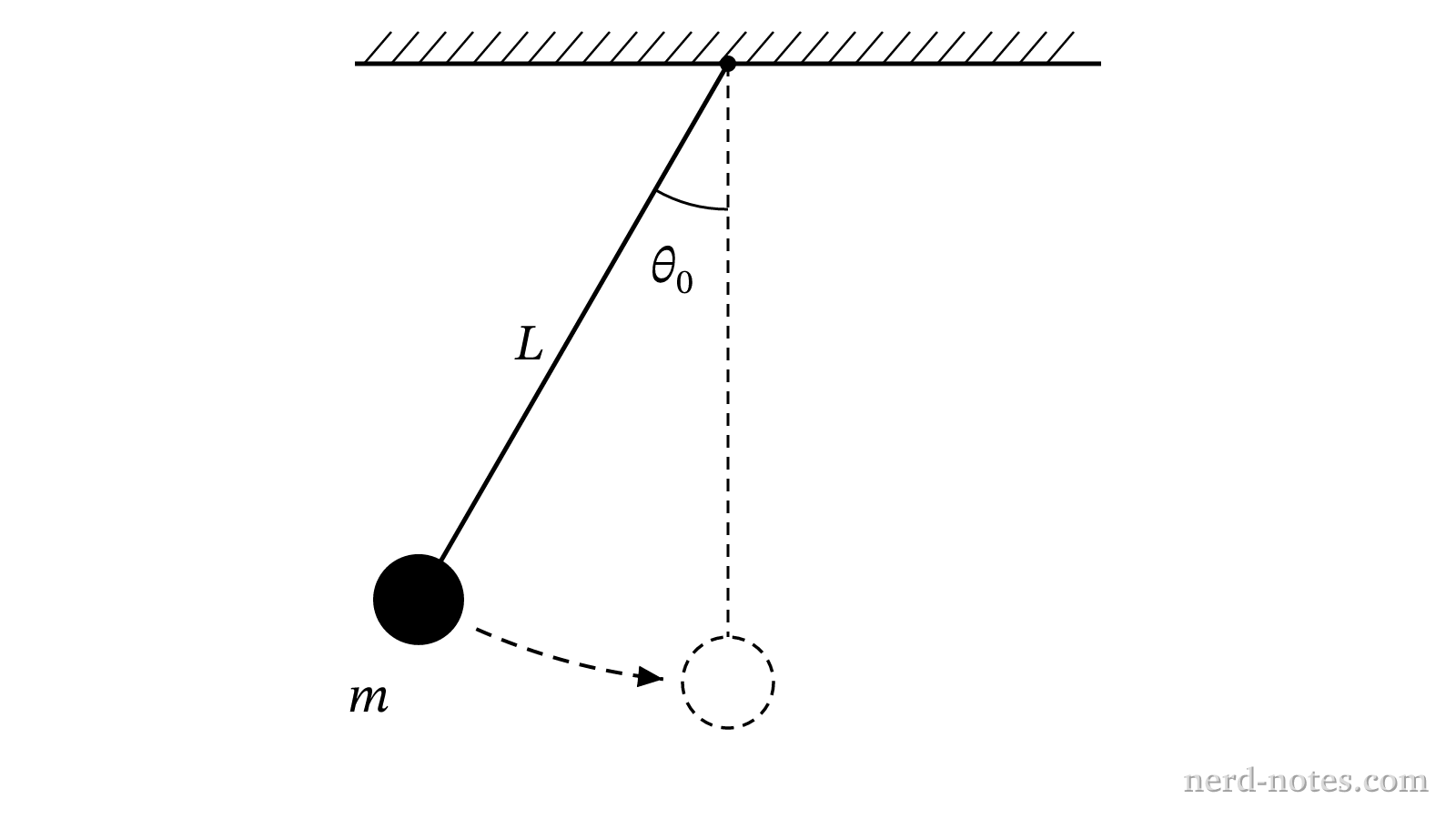 A pendulum bob released from rest and swinging through its lowest point.
