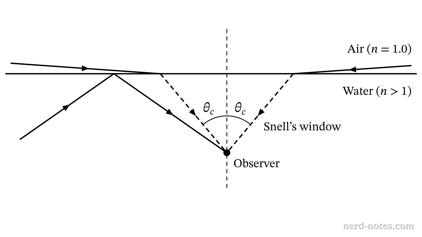 Ray paths reaching an underwater observer from a flat water-air interface.