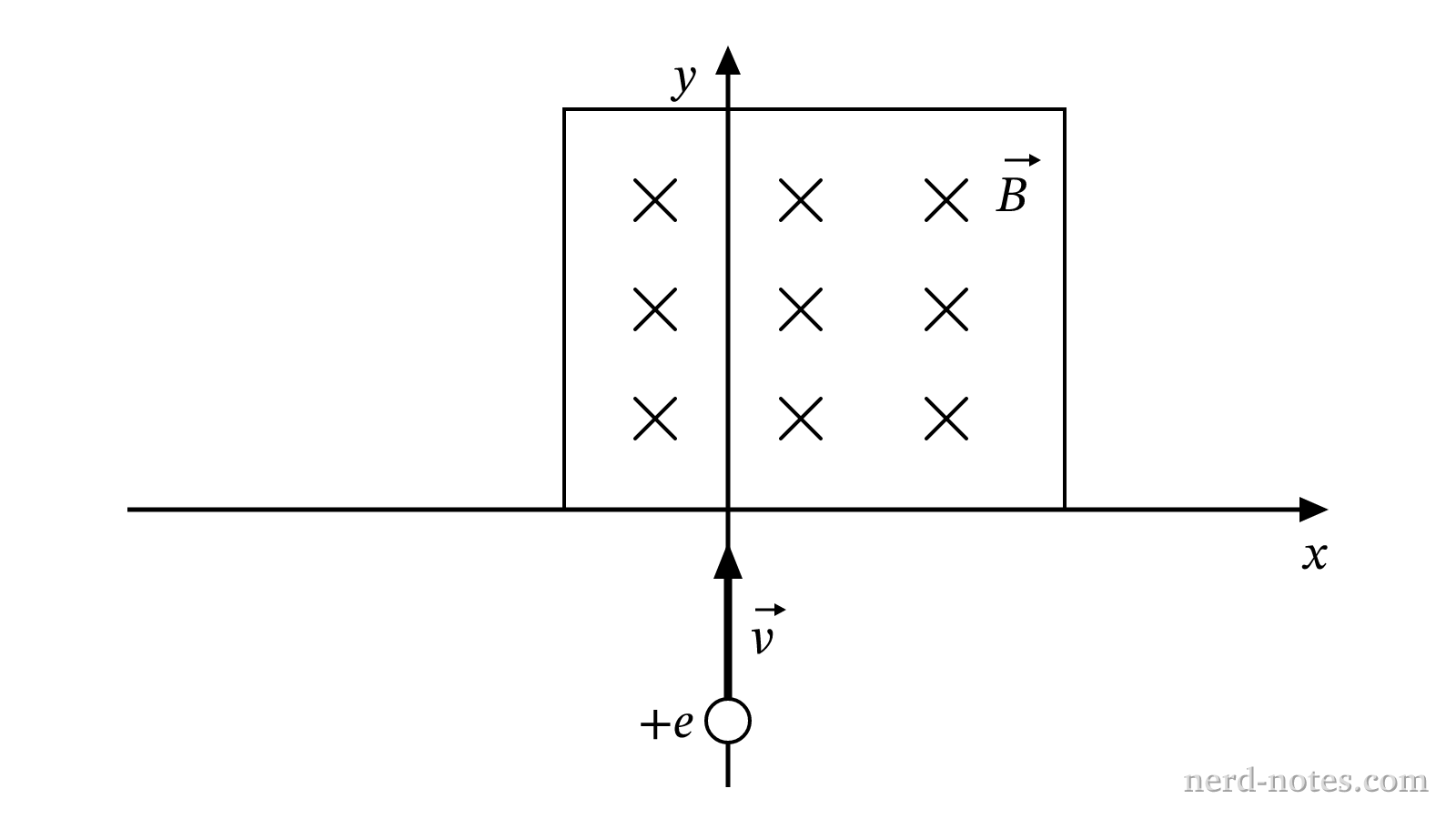 A positron entering a uniform magnetic field directed into the page.