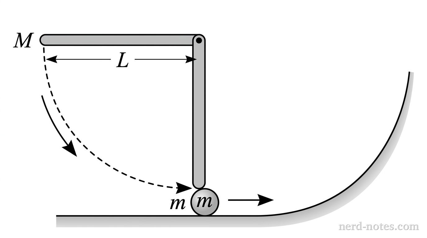 A side view diagram showing a uniform rod of length L pivoted at its right end. The rod is initially horizontal. A dashed arc indicates its path as it swings downward to a vertical position. At the bottom of the arc, small circular ball of mass m sitting on a horizontal line representing a frictionless surface. To the right of the ball, the horizontal surface transitions into a curved ramp that rises upward. A uniform rod of mass M and length L is pivoted at one end and held in a horizontal position, as shown in the figure. The rod is released from rest and swings downward. At the lowest point of its swing the tip of the rod strikes a small ball of mass m that is initially at rest on a frictionless horizontal surface. Immediately after the collision the rod comes to a complete stop and the ball moves to the right, eventually sliding up a frictionless ramp