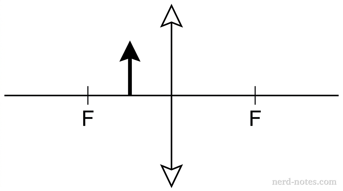 A single horizontal line spans the figure as the principal axis. Centered on it stands a vertical line segment with outward-pointing arrowheads at both ends, representing a thin converging lens. On each side of the lens, at equal distances along the axis, a short vertical tick is labeled (F). A bold upright arrow with its base on the axis stands exactly halfway between the lens and the left (F) tick, representing the object; it is about half as tall as the lens segment. Exactly four kinds of elements appear: the axis, the lens, the two labeled (F) ticks, and the object arrow. No rays, no dashed lines, no other labels, text, or axes appear.