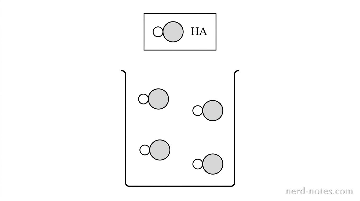 A rectangular diagram consists of a legend box at the top and a square beaker container below. The legend box defines one symbol: a pair of touching circles consisting of one small open white circle attached to one larger light-gray circle represents \(\text{HA}\). Inside the square beaker container, exactly 4 identical \(\text{HA}\) pairs are evenly dispersed in the space. Each \(\text{HA}\) pair consists of the small white circle directly touching the larger light-gray circle. No separate unattached circles or ions are present in the container. No other particles, labels, text, or annotations appear.