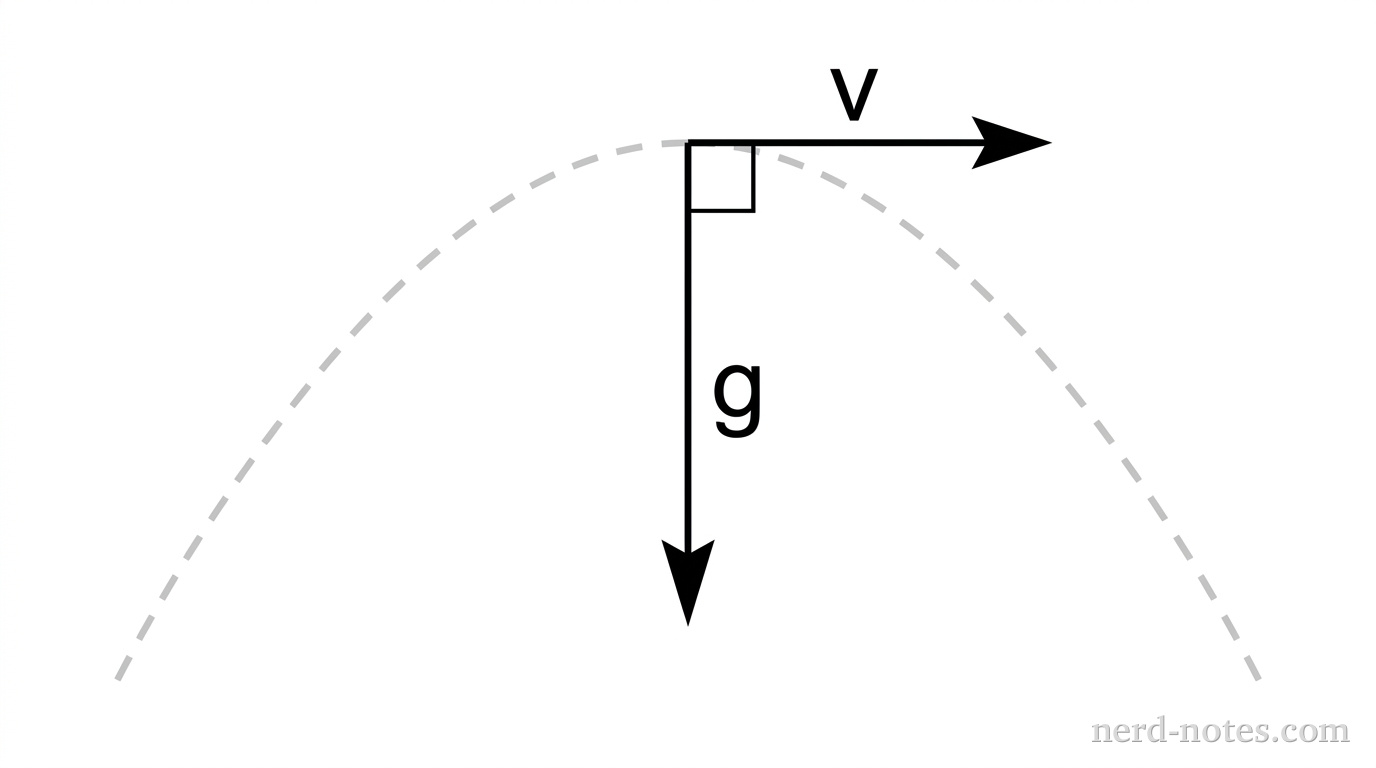 Trajectory of the ball relative to the ground-based observer.