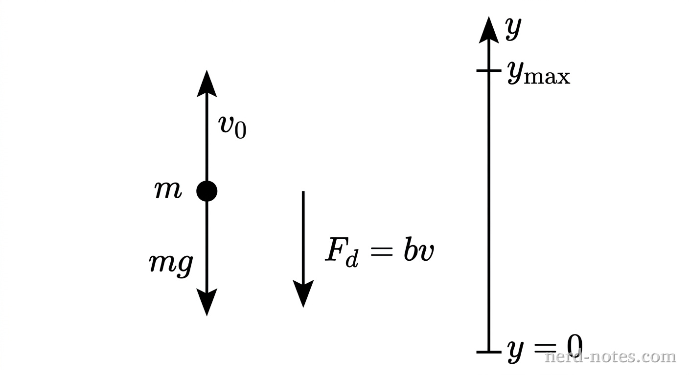 A small sphere labeled m moving vertically upward with an upward velocity vector labeled v_0. Two downward force vectors originate from the center of the sphere: one labeled mg pointing straight down, and another labeled F_d = bv pointing straight down. A vertical coordinate axis points upward with y = 0 at the launch level and y_max at the peak. No other labels, lines, text, or axes appear.