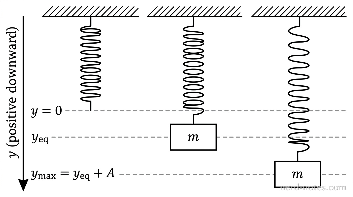 Three vertical configurations side-by-side. Left: A bare vertical spring attached to a ceiling, its bottom end aligns with a dashed horizontal line labeled 'y = 0'. Middle: The same spring with a rectangular block of mass m attached, stretched so the block aligns with a dashed horizontal line labeled 'y_eq'. Right: The spring and block stretched further down, with the block aligning with a dashed horizontal line labeled 'y_max = y_eq + A'. To the far left of the setups, a vertical downward-pointing arrow indicates the y-axis, labeled 'y (positive downward)'.