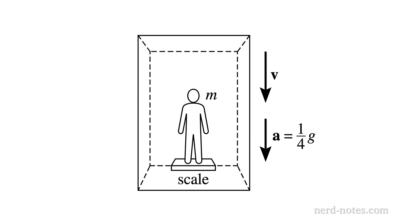 Person of mass m standing on a scale in an elevator accelerating downward.