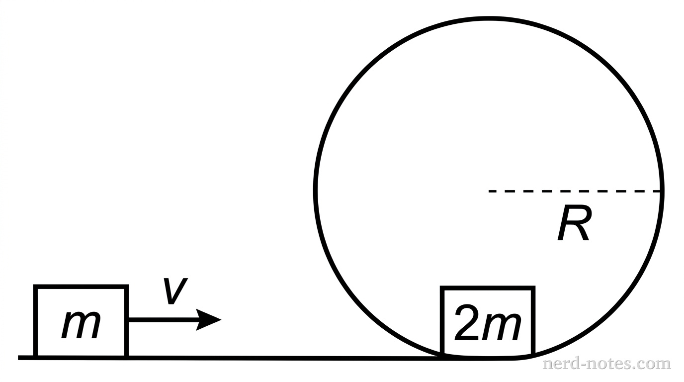 A side-view diagram of a track. On the left, a horizontal straight track segment. A block labeled m is shown moving to the right with a velocity vector v. To the right, at the bottom point of a large vertical circular loop of radius R, sits a stationary block labeled 2m. The loop is tangent to the horizontal track. A dashed line indicates the radius R from the center of the loop to the bottom block.