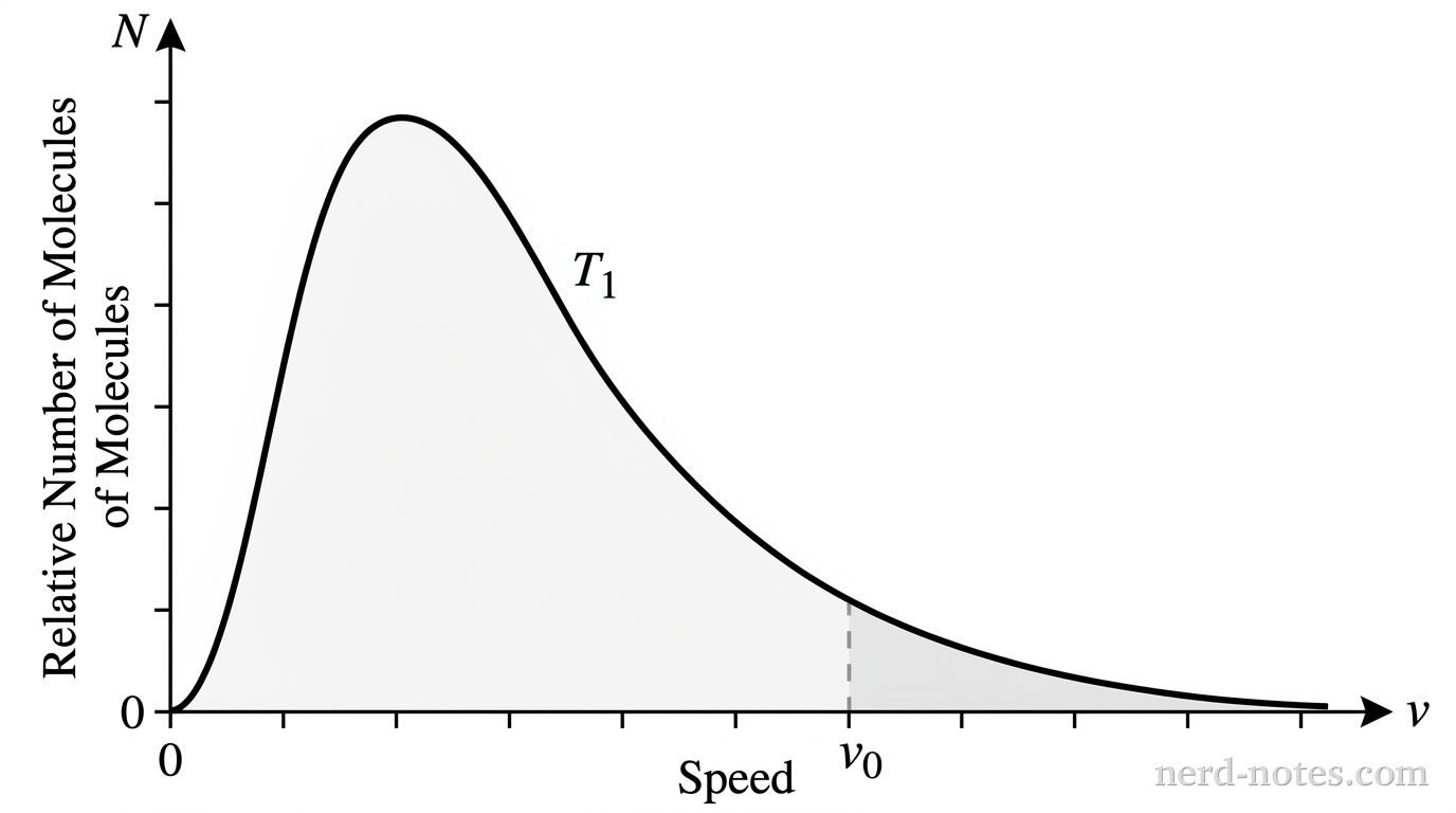 A graph showing relative number of molecules N as a function of speed v for temperature T_1. The vertical axis is labeled N (Relative Number of Molecules) and the horizontal axis is labeled v (Speed). A smooth curve starts at the origin (0,0), rises steeply to a peak at a low speed, and then decays asymmetrically to the right, approaching zero at high speeds. A dashed vertical line is drawn at a speed v_0 located well to the right of the peak on the tail of the curve. The region under the curve to the right of v_0 is shaded lightly. No other labels, lines, text, or axes appear.