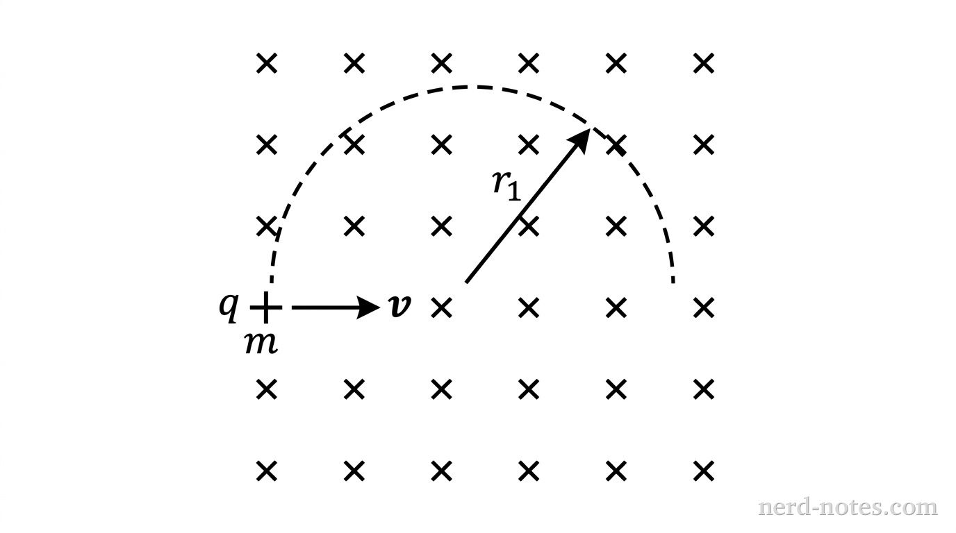 A schematic diagram showing a uniform magnetic field represented by a grid of small x symbols directed into the page. On the left side, a particle with charge +q and mass m moves to the right with velocity vector v perpendicular to the field lines. A curved dashed circular arc bends upward, representing the trajectory of radius r_1. No other labels, lines, text, or axes appear.