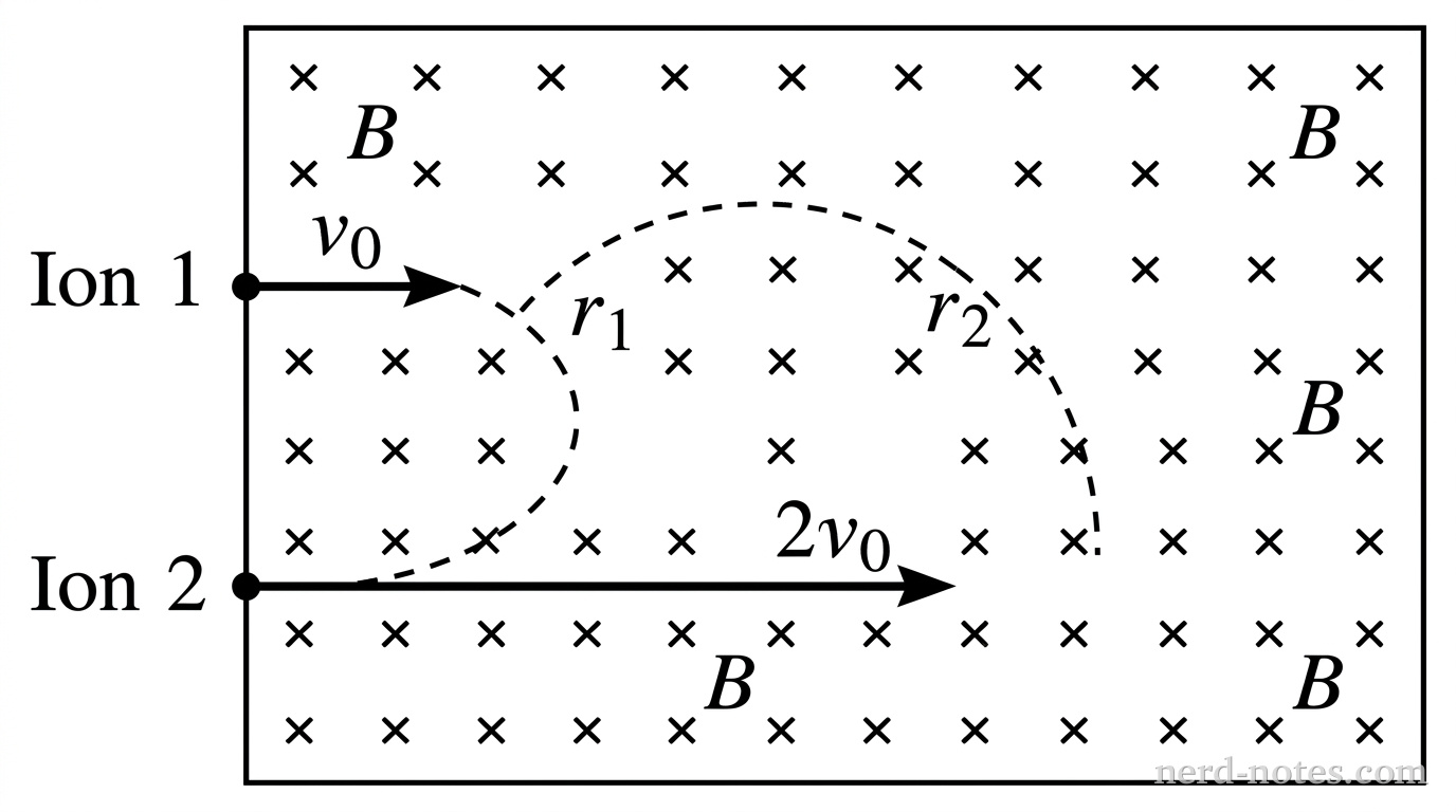 A rectangular region containing a uniform magnetic field directed into the page, represented by a grid of small x symbols labeled B. Two positively charged ions, labeled Ion 1 and Ion 2, enter the left boundary of the region moving horizontally to the right. Ion 1 has a horizontal velocity vector arrow labeled v_0. Ion 2 is drawn below Ion 1 with a longer horizontal velocity vector arrow labeled 2v_0. Dashed semicircular trajectories bend upward inside the magnetic field region, where the circular arc for Ion 2 has twice the radius of the circular arc for Ion 1. No other labels, lines, text, or axes appear.