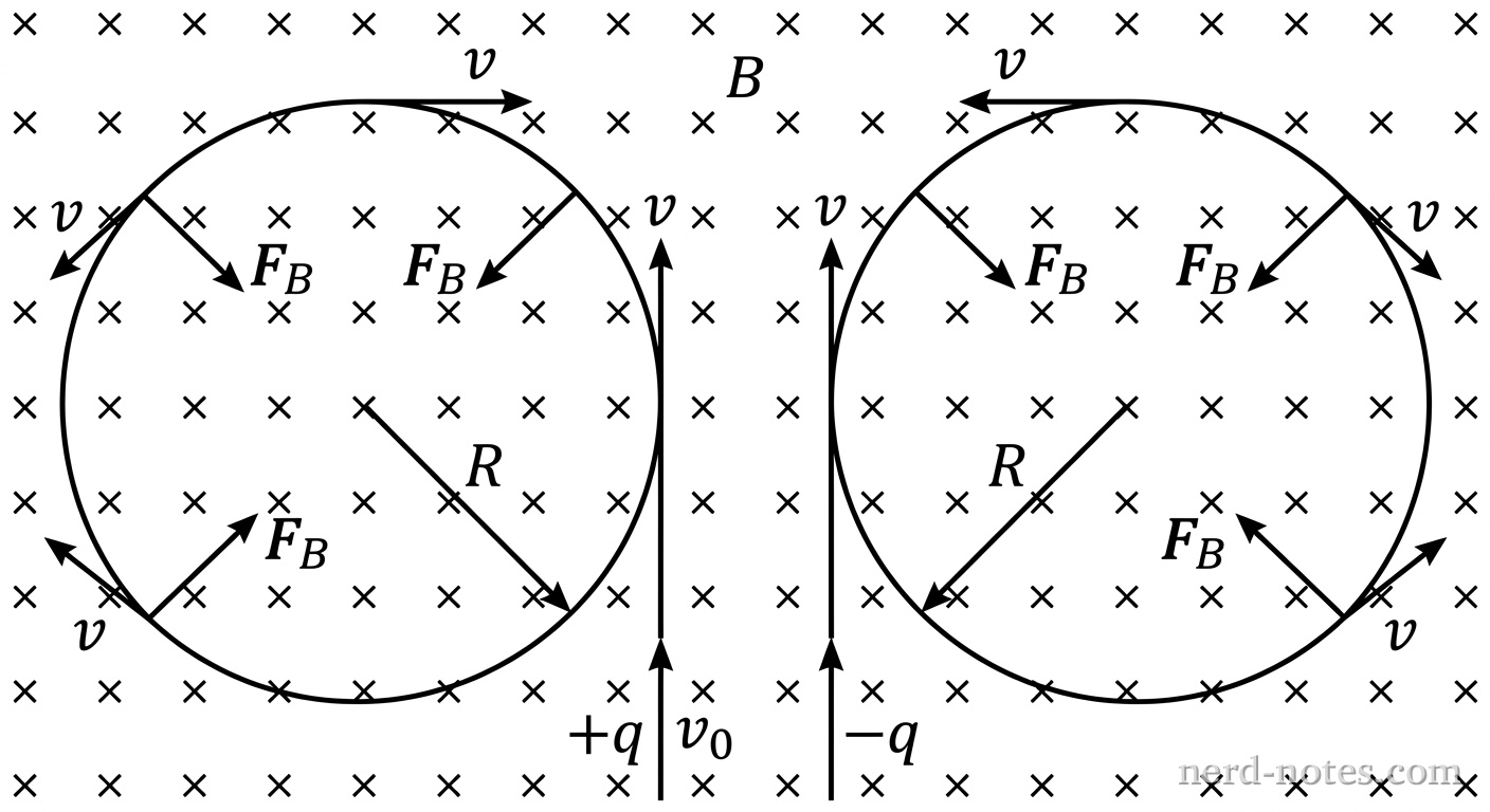 A schematic diagram showing a uniform magnetic field perpendicular to the page, represented by a grid of small x symbols labeled B. Two charged particles enter the region from the bottom traveling vertically upward with speed v_0. On the left, a positive particle labeled +q moves along a counterclockwise circular trajectory of radius R. On the right, a negative particle labeled -q moves along a clockwise circular trajectory of radius R. At two points along each circular path, a velocity arrow v is drawn tangent to the curve, and a magnetic force arrow F_B is drawn pointing directly toward the center of the circle, perpendicular to the velocity arrow. No other labels, lines, text, or axes appear.
