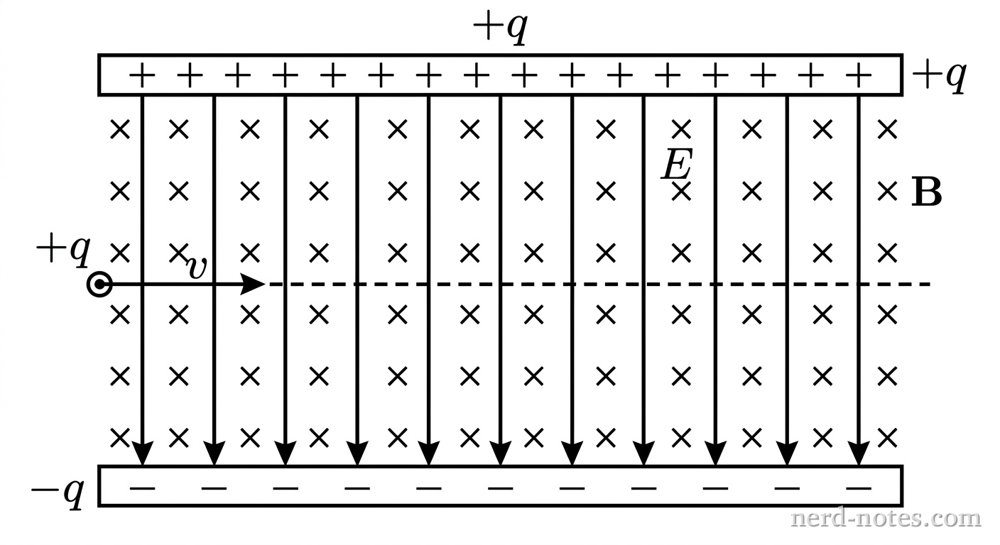 A schematic of a velocity selector. Two horizontal parallel plates are separated vertically. The top plate is positively charged and the bottom plate is negatively charged, producing a uniform vertical electric field E directed downward. A uniform magnetic field B directed into the page is represented by a grid of small x symbols between the plates. A central dashed horizontal line indicates the straight path along the x-axis. A positively charged particle with charge +q enters from the left moving horizontally to the right with velocity v. No other labels, lines, text, or axes appear.