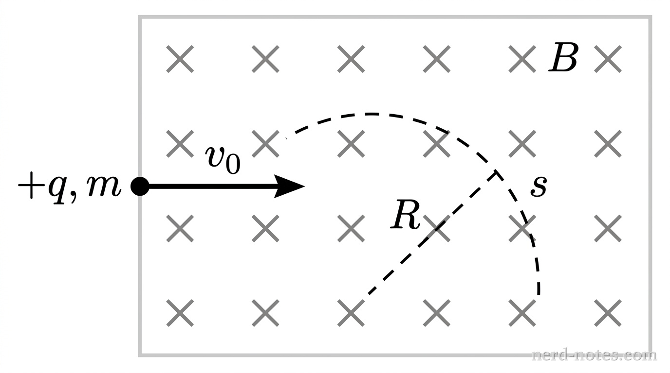 A rectangular region with a light gray border contains a 4 by 5 uniform grid of gray cross symbols representing a magnetic field directed into the page, labeled B. On the left edge, a small solid black circle representing a particle labeled +q with mass m enters the region traveling horizontally to the right, indicated by a rightward arrow labeled v_0. Inside the magnetic field region, a smooth curved dashed line of radius R traces a semi-circular path of arc length s. The particle is shown moving along this dashed curve. No other labels, lines, text, or axes appear.