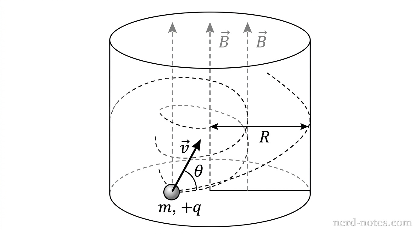 A three-dimensional schematic showing a cylindrical region with a uniform magnetic field represented by three parallel dashed gray arrows labeled \vec{B} pointing along the positive z-axis. A small sphere representing a particle of mass m and charge +q is located at the origin. A solid black velocity vector \vec{v} originates from the sphere, oriented at an angle \theta relative to the z-axis. A curved dashed line extends from the particle, illustrating a helical trajectory winding around a central axis parallel to the z-axis with a radius labeled R. A double-headed horizontal arrow indicates the radius R from the central axis to the outer edge of the helix path. No other labels, lines, text, or axes appear.