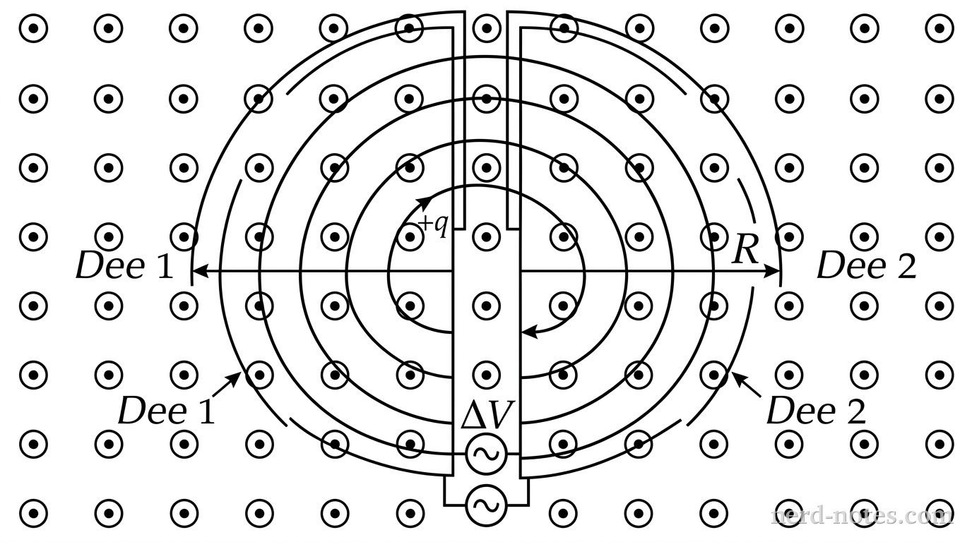 A top-down schematic diagram of a cyclotron. Two semi-circular hollow metal conductors, labeled Dee 1 on the left and Dee 2 on the right, are separated by a narrow vertical gap. A particle of charge +q starts near the center gap and follows an expanding spiral trajectory composed of semicircular arcs of increasing radius within the dees. Uniform magnetic field vectors represented by dots inside circles (directed out of the page) are evenly spaced across the region. An alternating voltage source labeled \Delta V is connected across the gap between the two dees. The outer radius of each dee is labeled R from the center to the outer curved boundary. No other labels, lines, text, or axes appear.