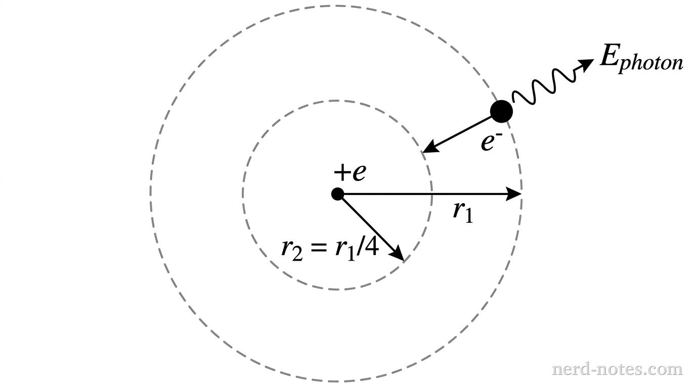 A schematic diagram showing two concentric circular Bohr orbits around a central positive nucleus labeled +e. The outer orbit has radius r_1 and contains an electron labeled e-. An arrow points radially inward from the outer orbit to an inner orbit of radius r_2 = r_1/4. A wavy arrow representing an emitted photon points outward away from the atom, labeled E_photon. No other labels, lines, text, or axes appear.
