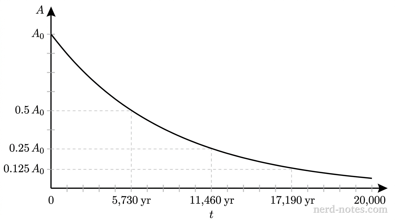 A graph showing an exponential decay curve of carbon-14 activity A versus time t in years. The vertical axis represents activity from 0 to A_0 with marked ticks at A_0, 0.5 A_0, 0.25 A_0, and 0.125 A_0. The horizontal axis represents time t from 0 to 20,000 years with marked ticks at 0, 5,730 yr, 11,460 yr, and 17,190 yr. The curve starts at (0, A_0) and smoothly passes through (5730, 0.5 A_0), (11460, 0.25 A_0), and (17190, 0.125 A_0), approaching zero asymptotically. No other labels, lines, text, or axes appear.