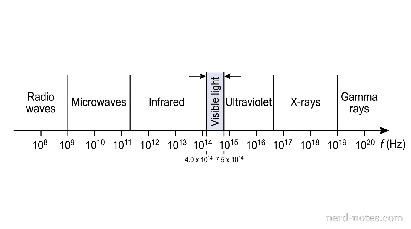 A horizontal logarithmic axis showing electromagnetic wave frequency f in Hz, ranging from 10^8 Hz to 10^20 Hz. Distinct rectangular bands mark different spectrum regions from left to right: Radio (f < 10^9 Hz), Microwave (10^9 Hz to 10^11 Hz), Infrared (10^11 Hz to 4.0 x 10^14 Hz), Visible light (4.0 x 10^14 Hz to 7.5 x 10^14 Hz), Ultraviolet (7.5 x 10^14 Hz to 10^16 Hz), X-rays (10^16 Hz to 10^19 Hz), and Gamma rays (f > 10^19 Hz). Tick marks label each power of ten along the axis. No other labels, lines, text, or axes appear.
