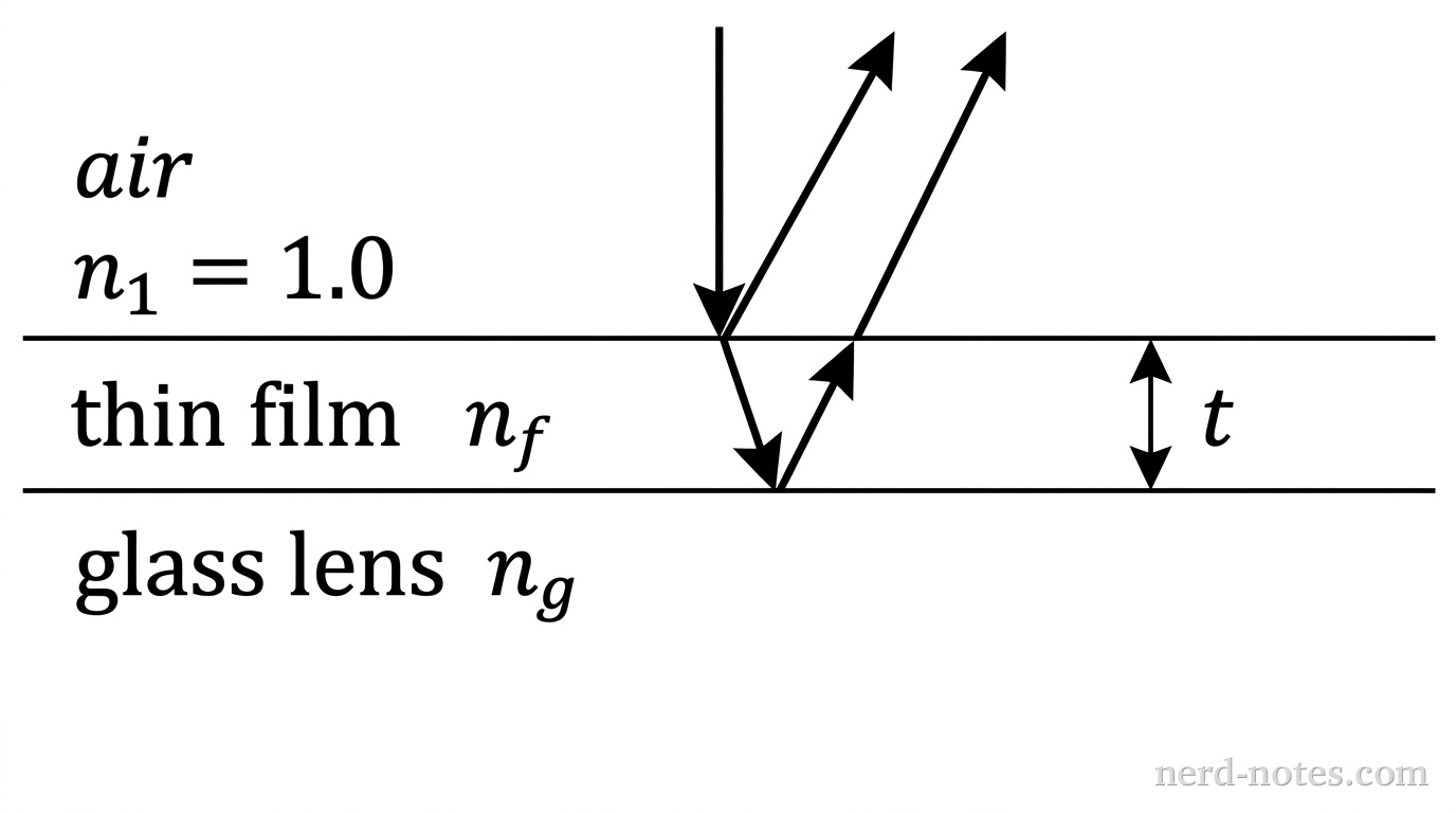 A horizontal layered diagram showing three regions from top to bottom. The top region is labeled air with index of refraction n_1 = 1. The middle region is a thin horizontal layer labeled thin film with thickness t and index of refraction n_f. The bottom region is labeled glass lens with index of refraction n_g. An incoming vertical light ray arrow points downward from air into the film, splitting into a reflected ray arrow pointing upward from the air-film interface and a transmitted ray continuing through the film, which then reflects upward from the film-glass interface. No other labels, lines, text, or axes appear.