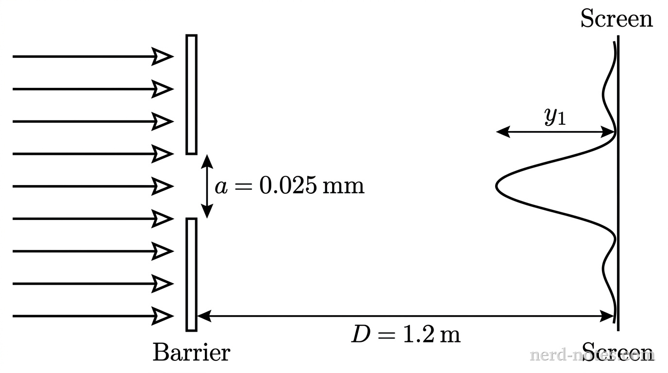 A horizontal schematic showing monochromatic parallel light rays traveling to the right and hitting a single vertical slit barrier of width a = 0.025 mm. To the right of the barrier at distance D = 1.2 m stands a vertical viewing screen. On the screen, a smooth intensity graph is drawn showing a tall, wide central maximum and smaller secondary maxima above and below it. A double-headed arrow indicates the distance y_1 from the central peak to the first intensity minimum. No other labels, lines, text, or axes appear.