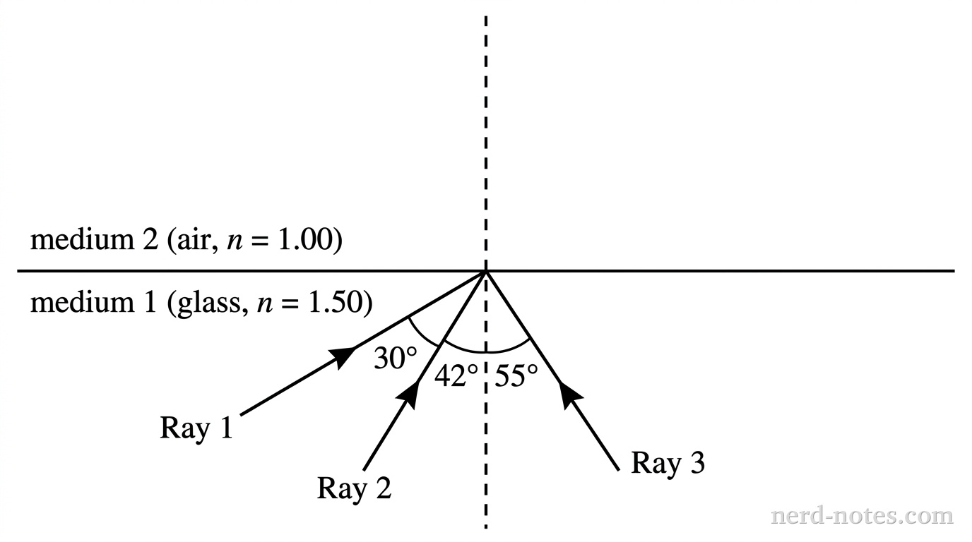 A horizontal line represents the flat boundary between two media, with medium 1 (glass, n = 1.50) below the boundary and medium 2 (air, n = 1.00) above the boundary. A dashed vertical line represents the normal line passing perpendicularly through the center of the boundary. Three incident rays, labeled Ray 1, Ray 2, and Ray 3, originate in medium 1 below and travel upward-right to meet at the exact point where the normal line intersects the boundary. Ray 1 makes an angle of 30 degrees with the normal line. Ray 2 makes an angle of 42 degrees with the normal line. Ray 3 makes an angle of 55 degrees with the normal line. Angles are labeled between each ray and the normal line. No reflected or refracted rays are shown in either medium. No other labels, lines, text, or axes appear.