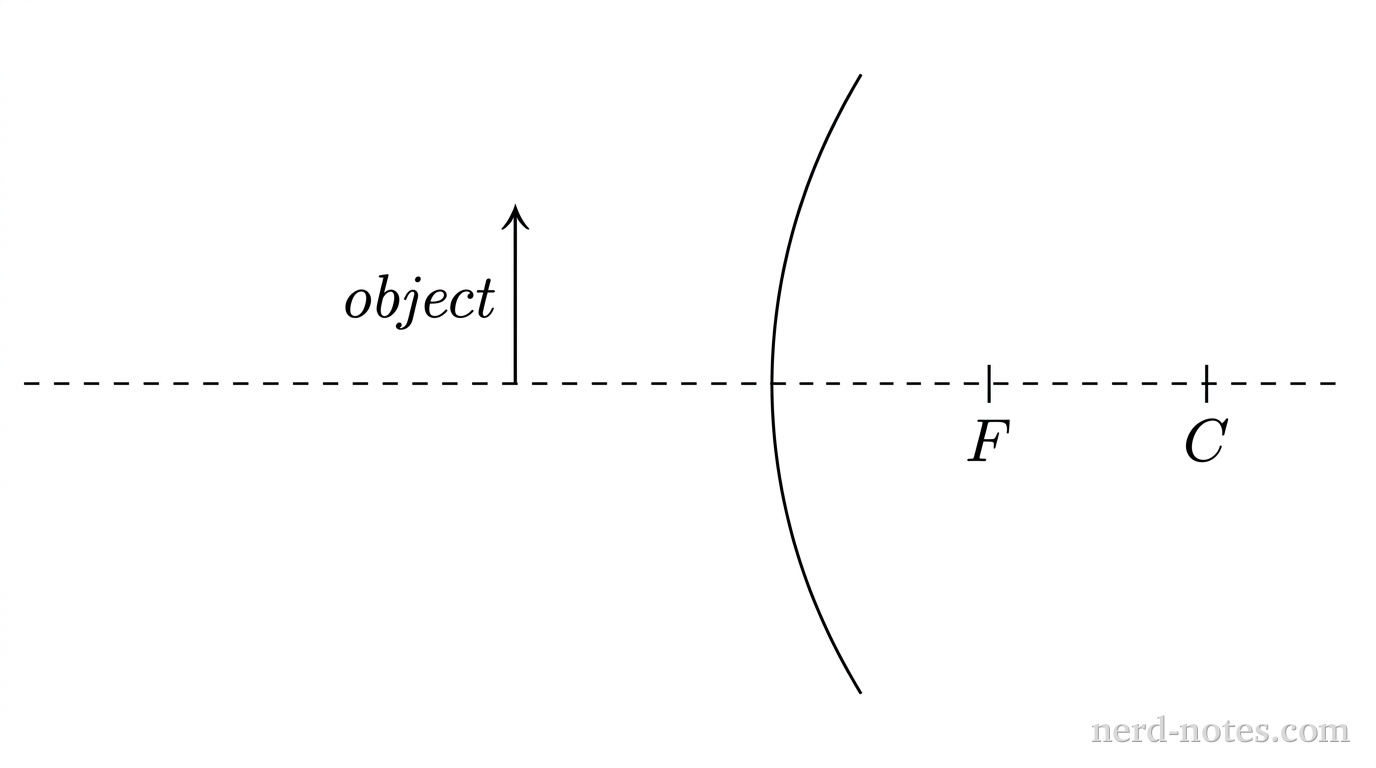 A horizontal dashed line extending left to right represents the principal axis of an optical system. On the right half of the axis, a thin vertical arc curves outward toward the left, representing a convex mirror. To the left of the mirror, an upright arrow labeled object stands vertically on the principal axis. To the right of the mirror, two small vertical tick marks are located on the principal axis; the first tick mark is labeled F and the second tick mark farther to the right is labeled C. No ray lines, back-extensions, or image arrows appear anywhere in the diagram. No other labels, lines, text, or axes appear.