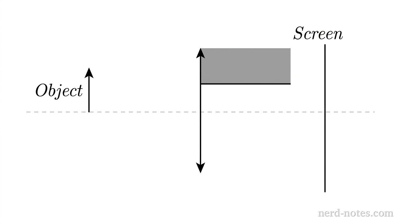 A horizontal dashed line represents the principal axis. On the left side of the axis, a vertical upward-pointing arrow labeled 'Object' stands on the axis. To the right of the object, a thin vertical double-arrow segment represents a converging lens. An opaque rectangular block covers the upper half of the lens above the principal axis. To the right of the lens, a vertical line labeled 'Screen' stands perpendicular to the principal axis. No light rays, focal point markers, or image arrows are drawn. No other labels, lines, text, or axes appear.