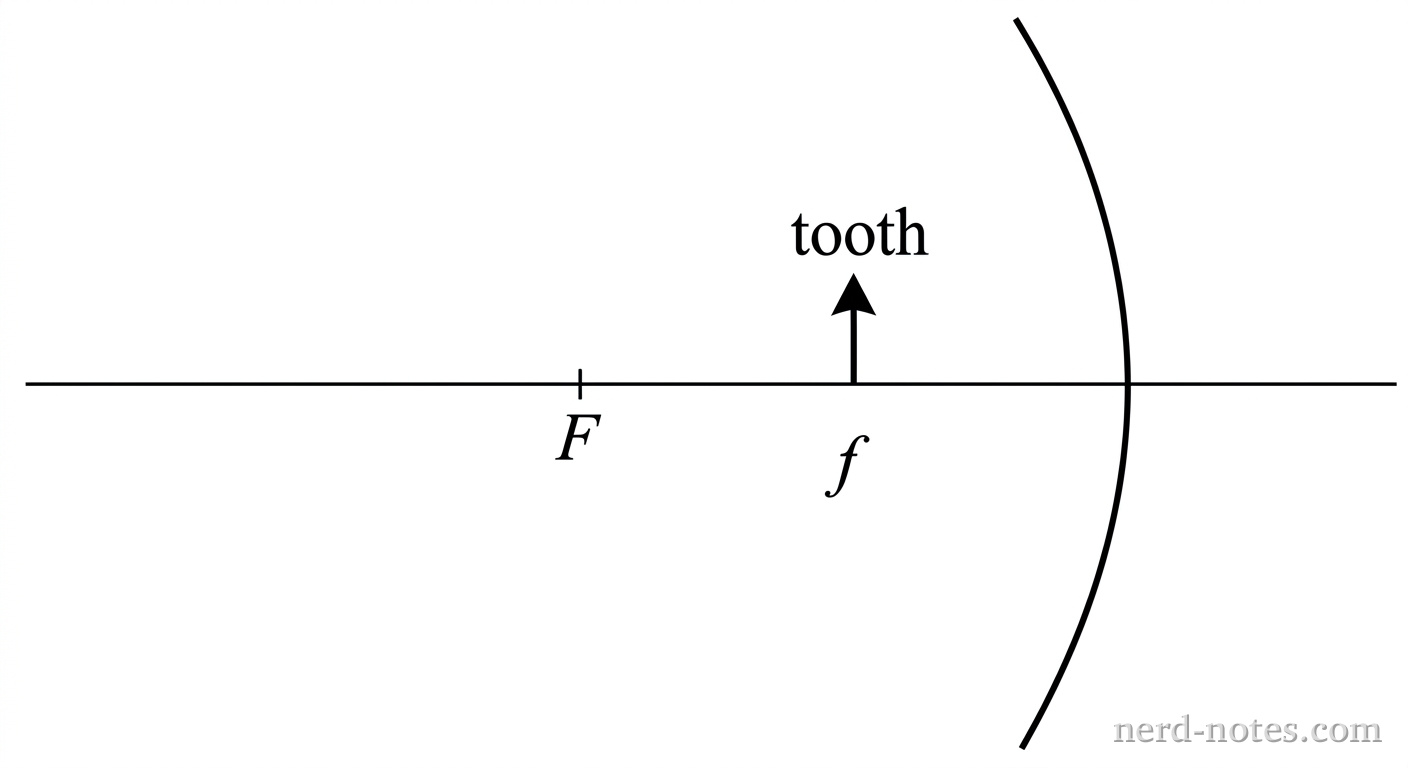 A schematic diagram showing a concave mirror with principal axis drawn horizontally. The mirror vertex sits on the axis at the right, curving inward toward the left. A focal point labeled F is marked on the axis to the left of the mirror at distance f. A small object arrow representing a tooth stands vertically on the principal axis between the focal point F and the mirror vertex. No light rays, back-extensions, or image arrows are shown. No other labels, lines, text, or axes appear.
