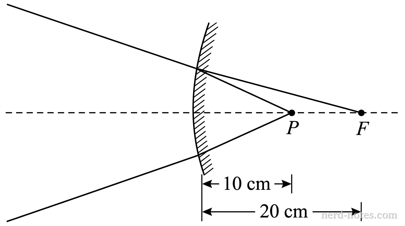 A vertical convex mirror with its reflecting surface bulging to the left toward incoming light. A horizontal dashed principal axis passes perpendicularly through the center of the mirror vertex. To the right of the mirror (behind the surface), a focal point label F is marked on the principal axis at a distance of 20 cm from the vertex, and a point P is marked on the axis at a distance of 10 cm from the vertex. Two incoming straight light rays enter from the left, converging downward and upward toward point P behind the mirror. The rays intersect the mirror surface before reaching point P. No reflected rays or image construction lines appear. No other labels, lines, text, or axes appear.