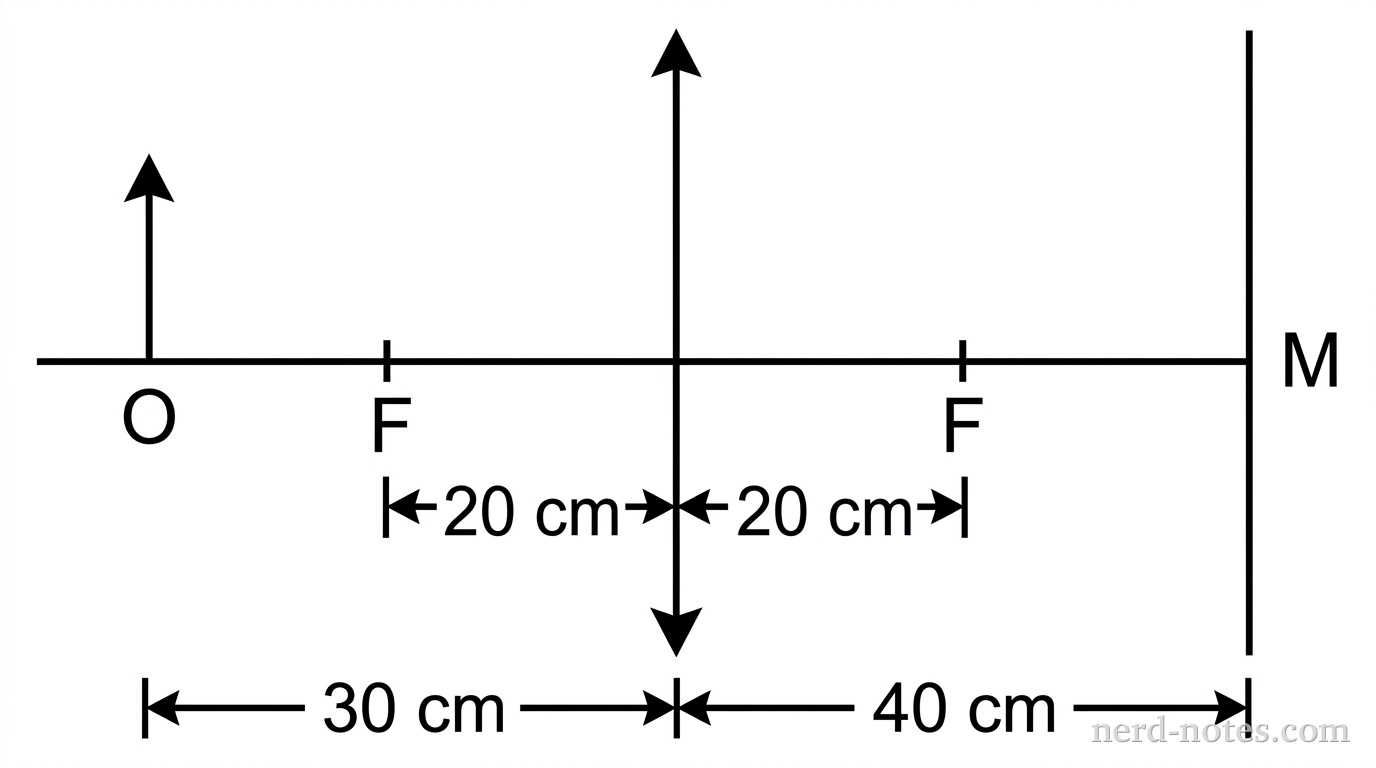 A horizontal line represents the principal axis. A thin converging lens is positioned vertically at the center. An object, drawn as a vertical upward arrow labeled O, stands on the axis at 30 cm to the left of the lens. Focal points labeled F are marked at 20 cm to the left and 20 cm to the right of the lens. A flat plane mirror, labeled M, is positioned vertically at 40 cm to the right of the lens. No other labels, lines, text, or axes appear.