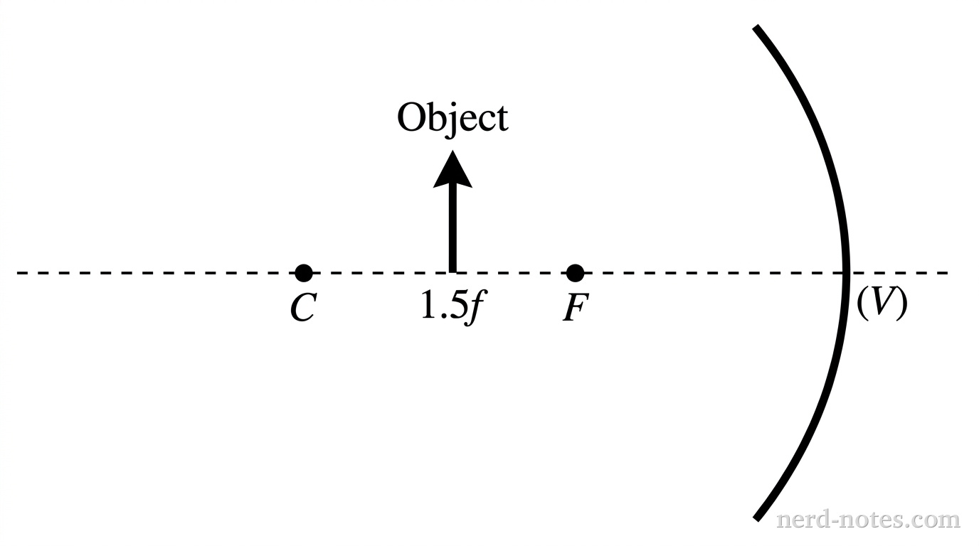 A horizontal dashed line represents the principal axis. A concave spherical mirror is shown on the right as a vertical curved arc curving inward toward the left. Points labeled F and C are marked on the principal axis to the left of the mirror, where C is twice as far from the mirror vertex as F. An upright solid arrow labeled Object stands on the principal axis between F and C at a distance of 1.5f from the mirror vertex. No light rays, projected lines, or image are shown. No other labels, lines, text, or axes appear.