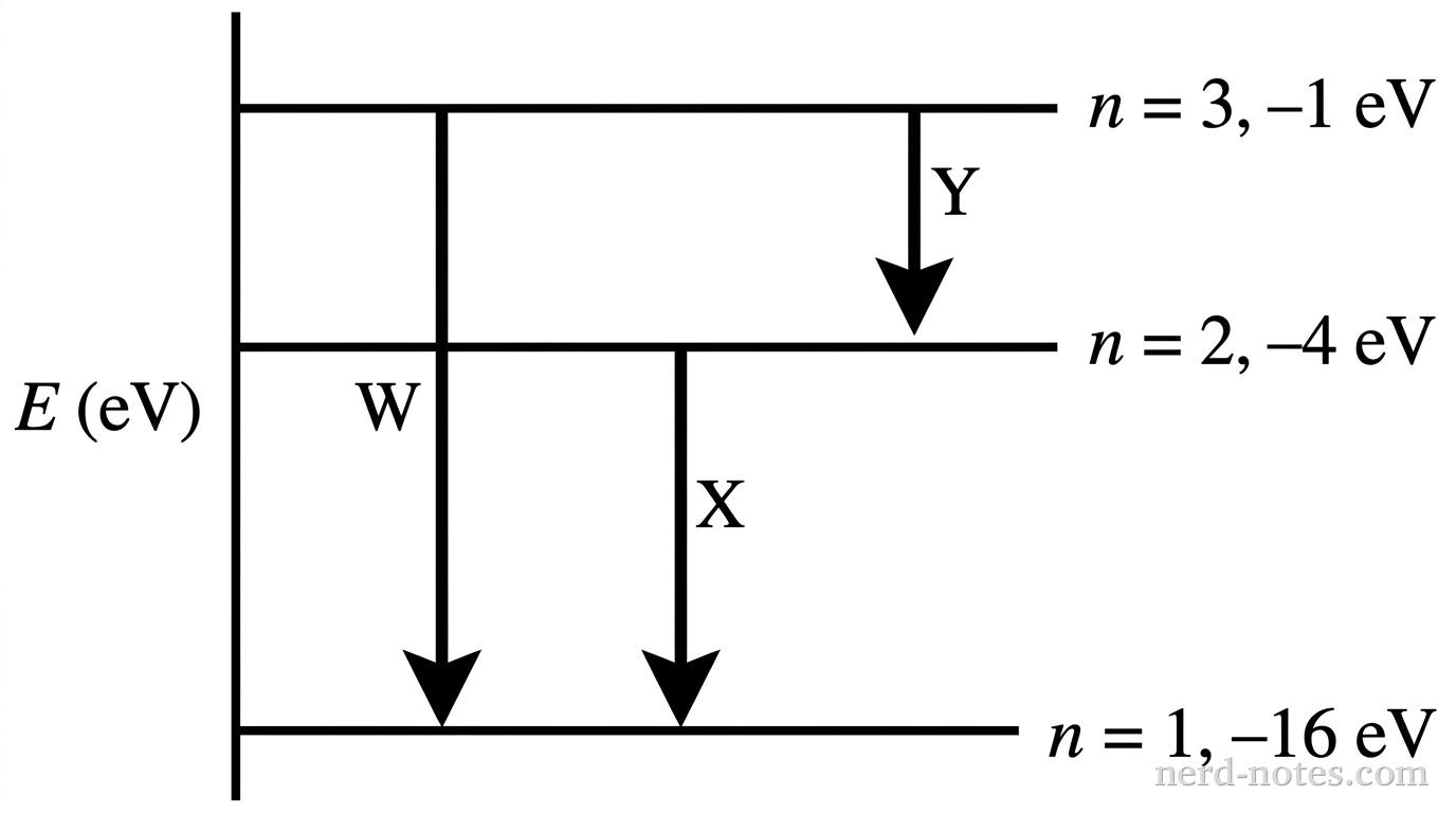 An energy level diagram showing three horizontal lines representing energy levels of a hydrogen-like ion. The vertical axis represents energy in electron-volts (eV). The lowest line is labeled n = 1 at an energy of -16 eV. The middle line is labeled n = 2 at an energy of -4 eV. The top line is labeled n = 3 at an energy of -1 eV. Three downward vertical arrows represent electronic transitions: Arrow W points from n = 3 to n = 1; Arrow X points from n = 2 to n = 1; Arrow Y points from n = 3 to n = 2. No other labels, lines, text, or axes appear.